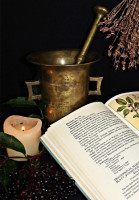 Domácí lékař 1902: Česnek, Četba